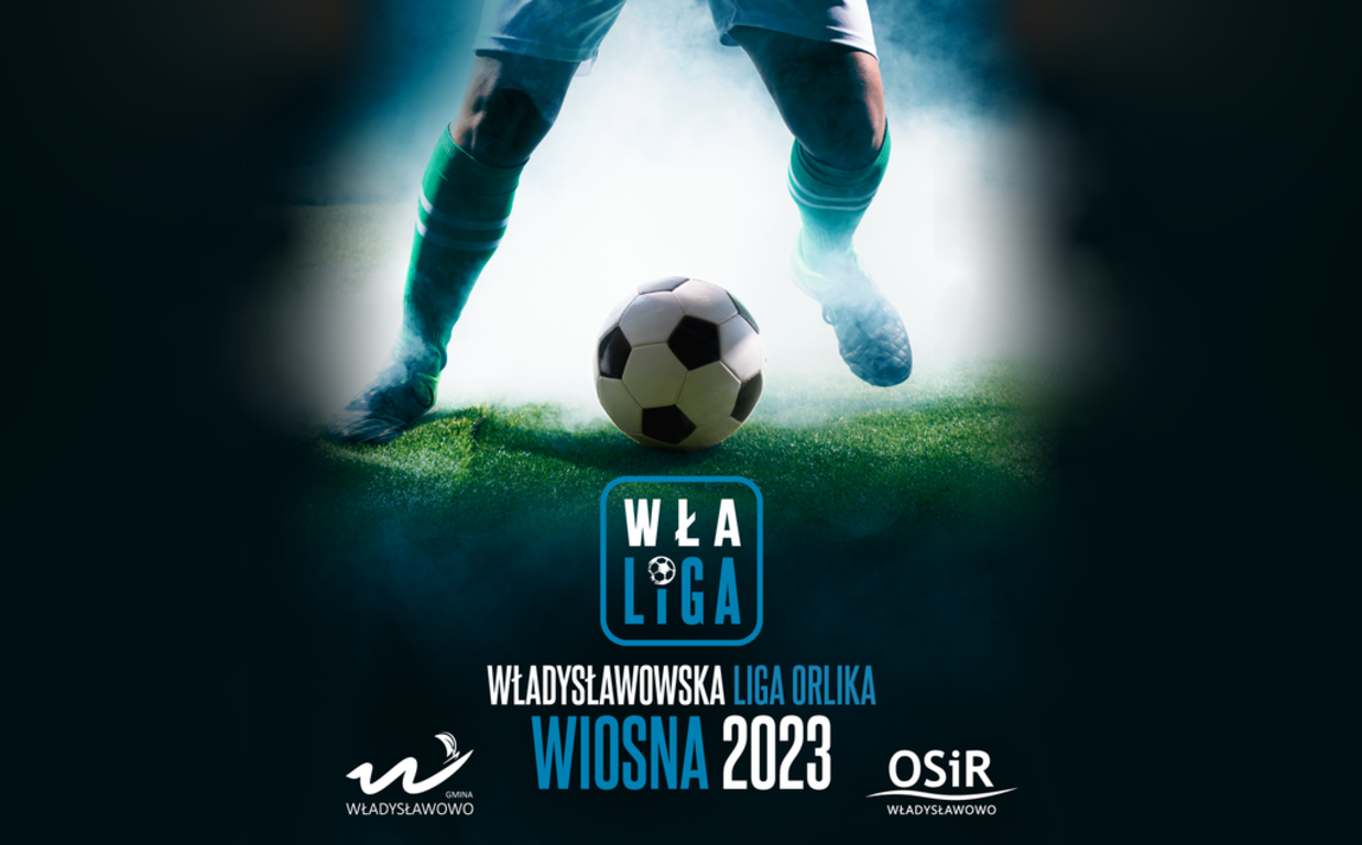 WŁA LIGA - baner