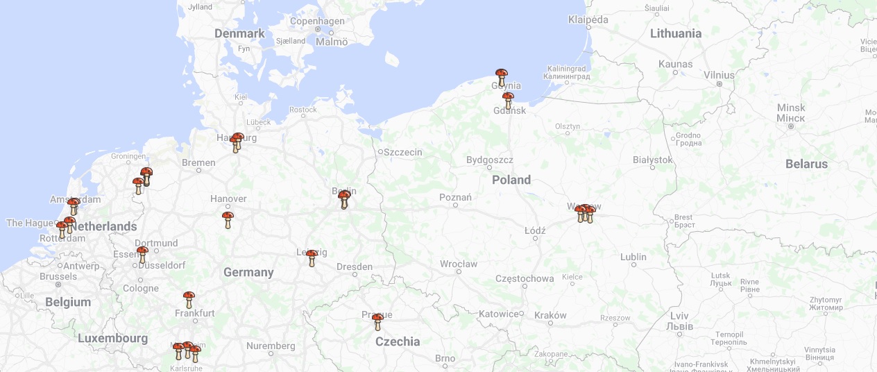 Game of Shrooms III Władysławowo 2023