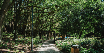 Park Miejski we Władysławowie