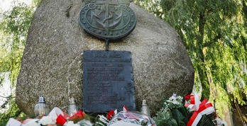 Czytaj więcej