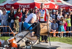 Piknik Myśliwski w Ostrowie - pokaz pilarskiego rzemiosła