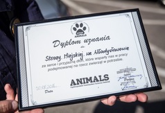 Dyplom uznania dla Straży Miejskiej za współpracę z OTOZ Animals