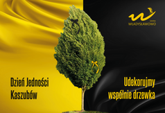 Przejdź do treści