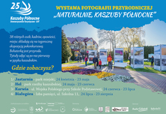Przejdź do treści
