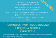 Przejdź do treści