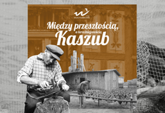 Przejdź do treści