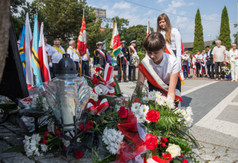 Przejdź do treści