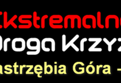 Przejdź do treści