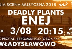 Przejdź do treści