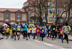 Przejdź do treści