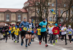 Przejdź do treści