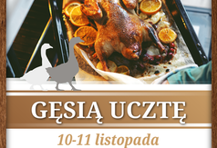 Przejdź do treści