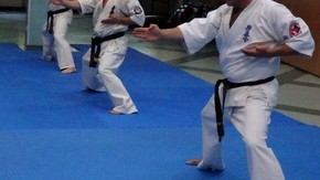 kata w wykonaniu Jon Campbell - USA, Robert Wyciszkiewicz - Polska i Shamil Guseynov - Estonia
