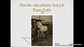 Siwek- ukochany kucyk Pani Zofii.