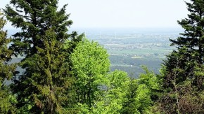 ale widok z Łysicy