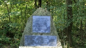 pomnik w lesie Korzonek
