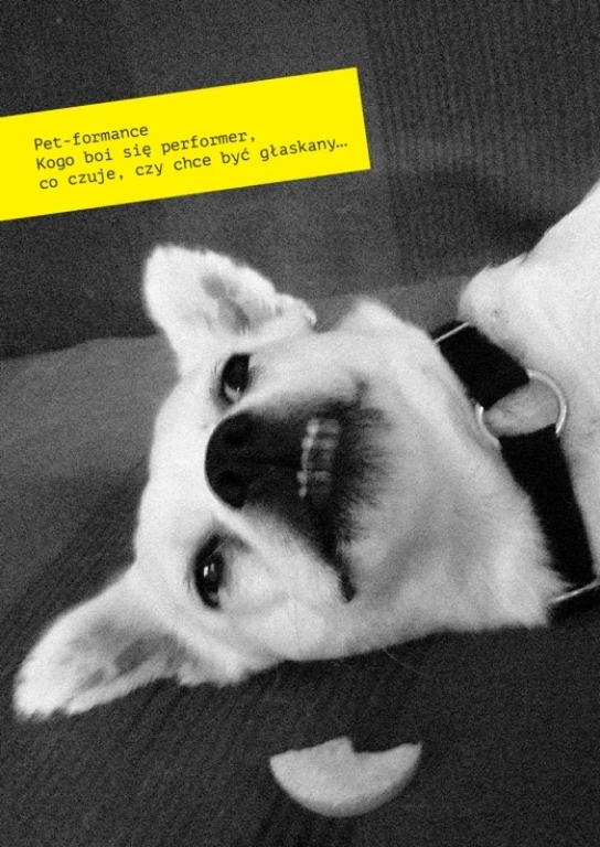 petformance.jpg