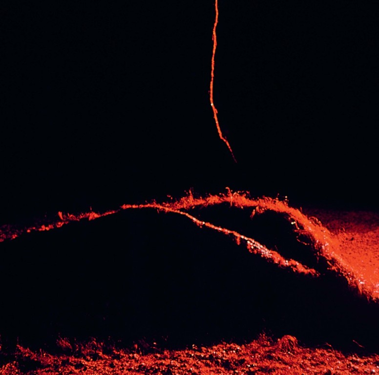 W PRZESTRZENI MAGDALNEY ABAKANOWICZ