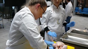 Test kulinarny - drób