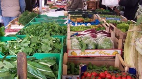 fot. Powiat Szydłowiecki /al