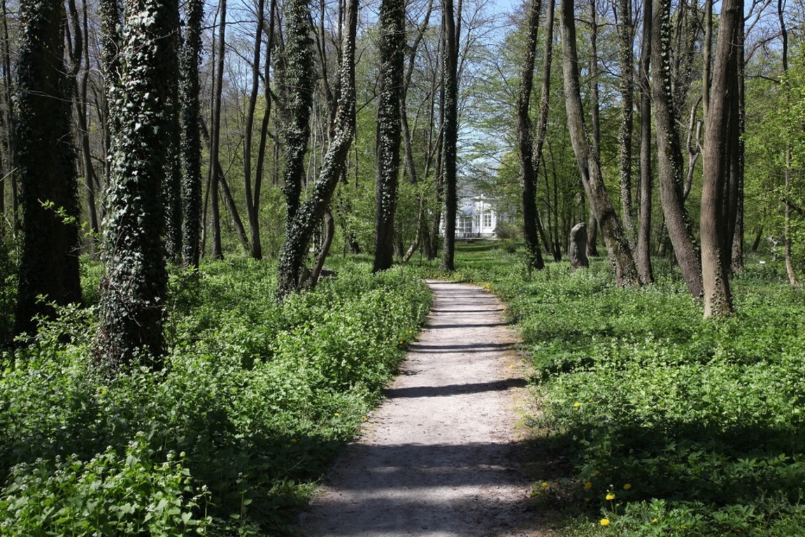Park w Orońsku, fot. CRP