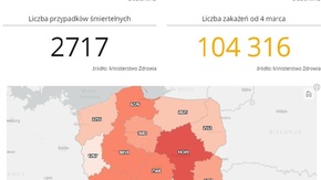 Mapa zarażeń koronawirusem (SARS-CoV-2)