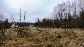 Widoczne wzniesienie – miejsce gdzie stała leśniczówka, w której W. Kozłowski mieszkał. Obecnie tere