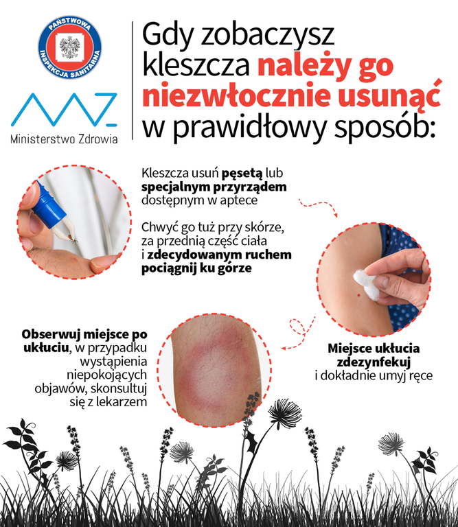 jak_usunac_kleszcza.png