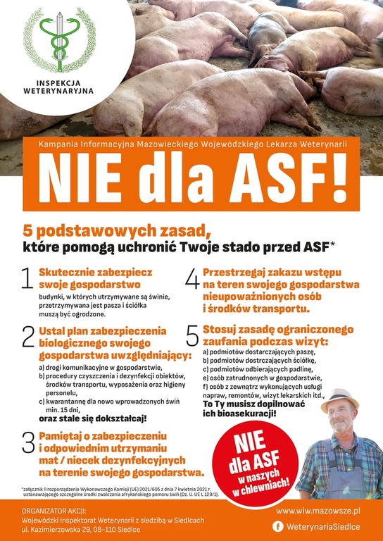 nie_dla_asf.jpg