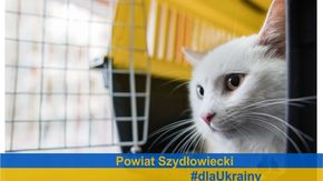 Czytaj więcej