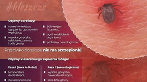 kleszcze informacje