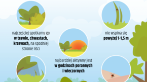 miejsca występowania