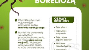 zakażenie boreliozą