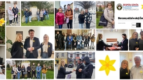 Akcja Żonkile 2023 w przestrzeni Szydłowca