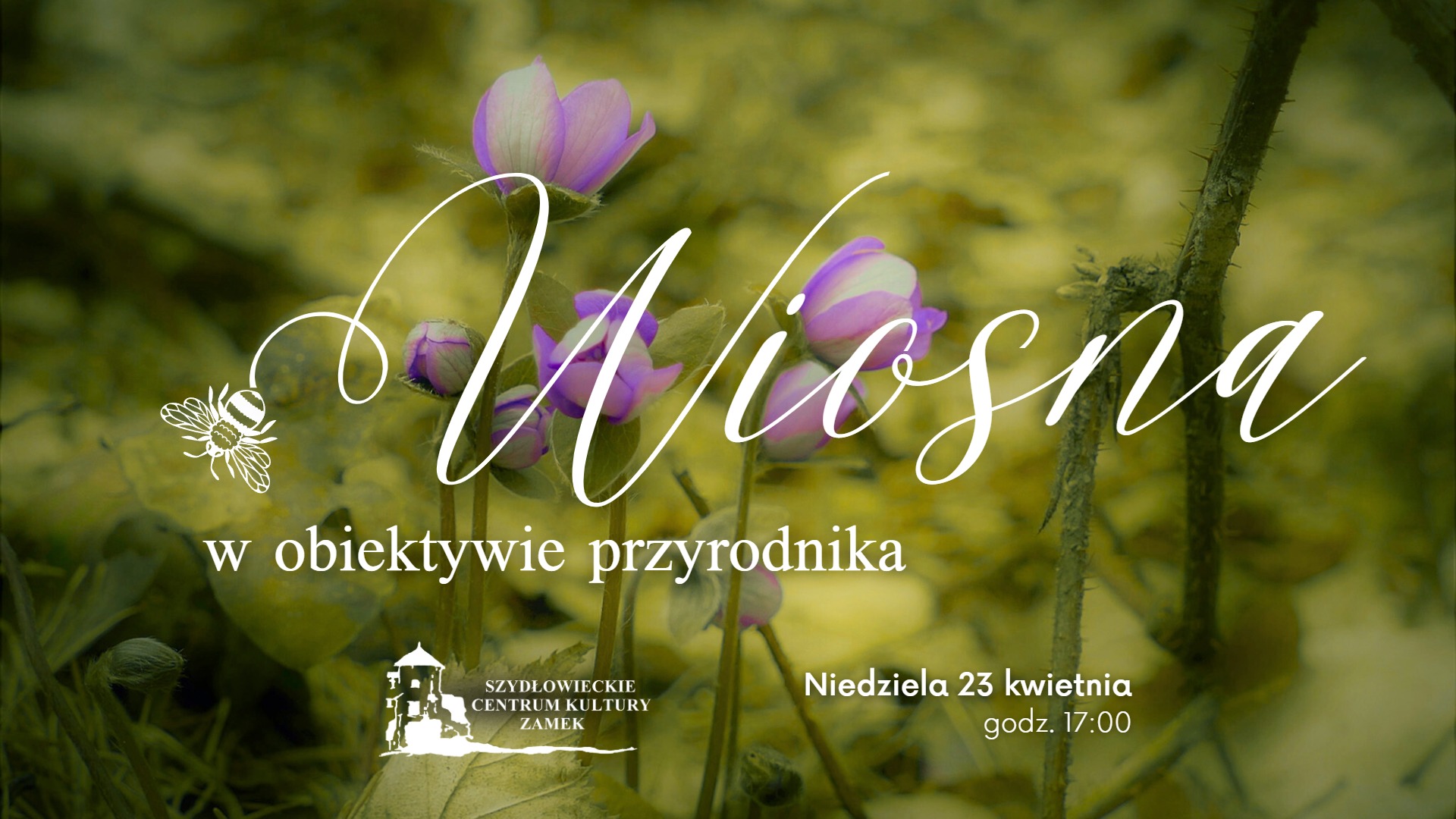 wiosna_w_obiektywie_przyrodnika_zaproszenie.jpg [1920x1080]