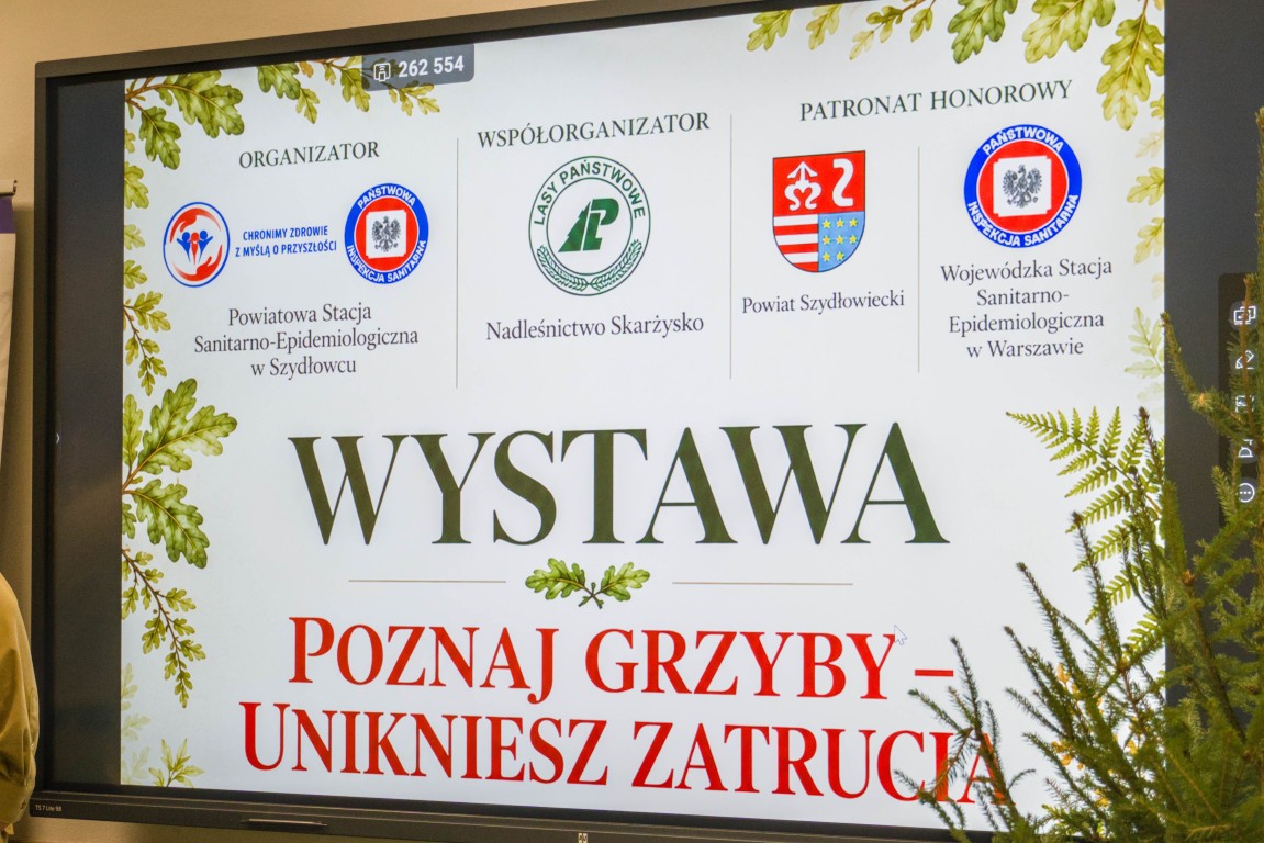 Bezpieczne grzybobranie i troska o lasy. Wystawa grzybów dostępna dla mieszkańców