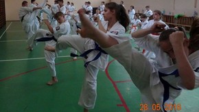 kopnięcie mawashi geri jodan