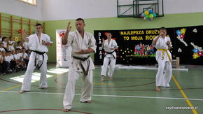 pokaz umiejętności karate