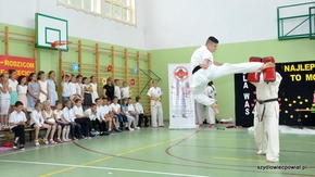 pokaz umiejętności karate
