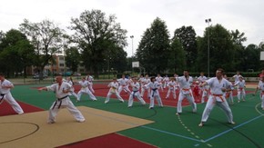 ido geiko