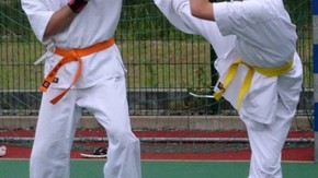 unik przed mawashi geri jodan