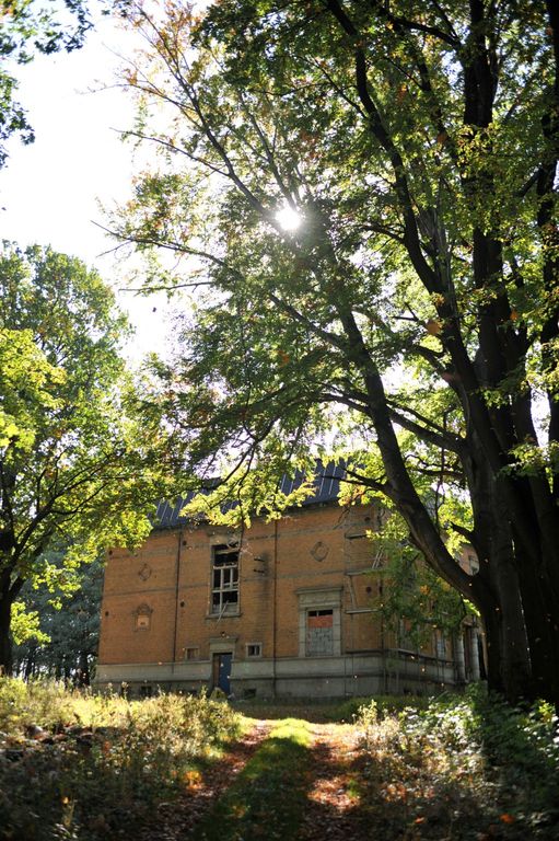 Pałac w Rzuchowie