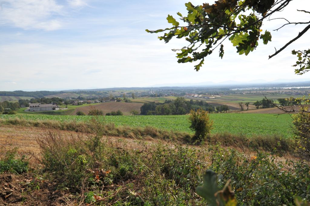 Widok na pola