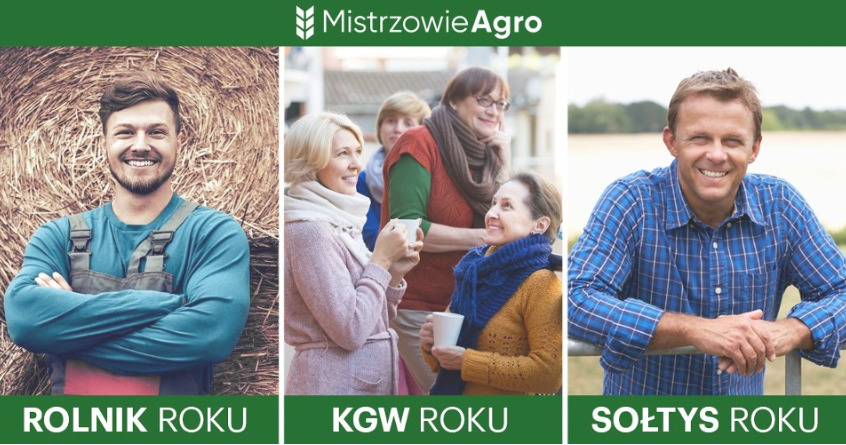 (link otworzy duże zdjęcie)