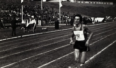 Wierna szóstka (link otworzy duże zdjęcie)