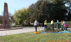 Nasadzenia cebulek kwiatów na Skwerze Orląt Lwowskich (link otworzy duże zdjęcie)