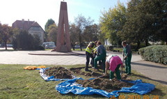 Nasadzenia cebulek kwiatów na Skwerze Orląt Lwowskich
