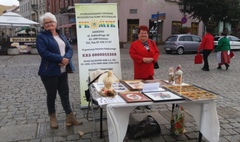 Senioralia 2016 (link otworzy duże zdjęcie)