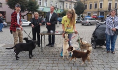 Senioralia 2016 (link otworzy duże zdjęcie)