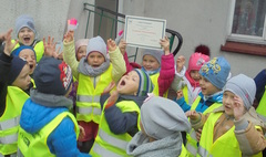 Radość Stokrotek (link otworzy duże zdjęcie)